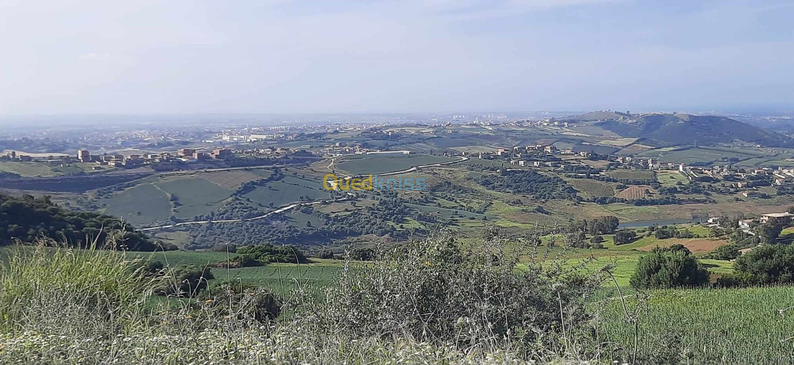 Vente Terrain Boumerdès El kharrouba