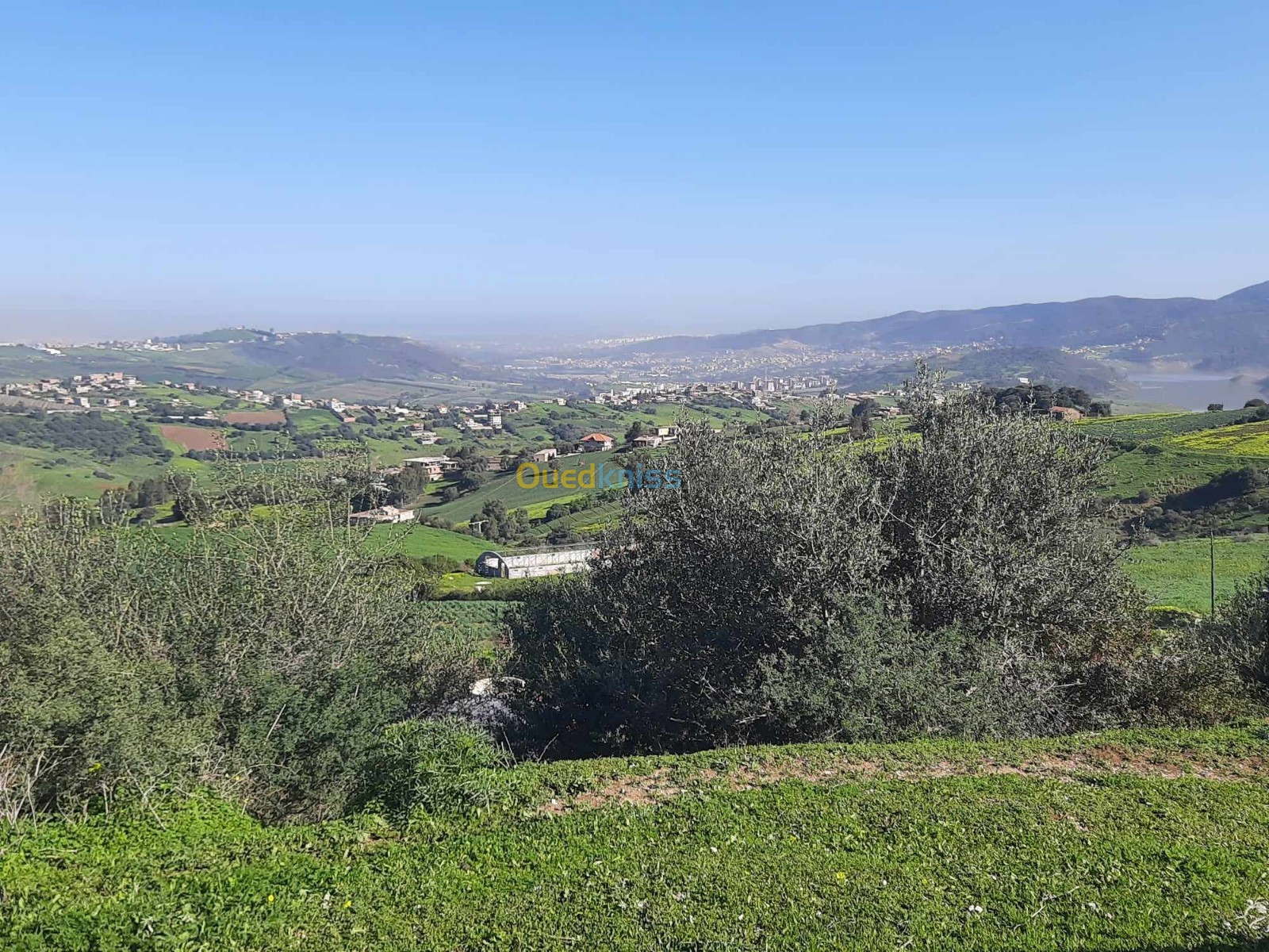 Vente Terrain Boumerdès El kharrouba