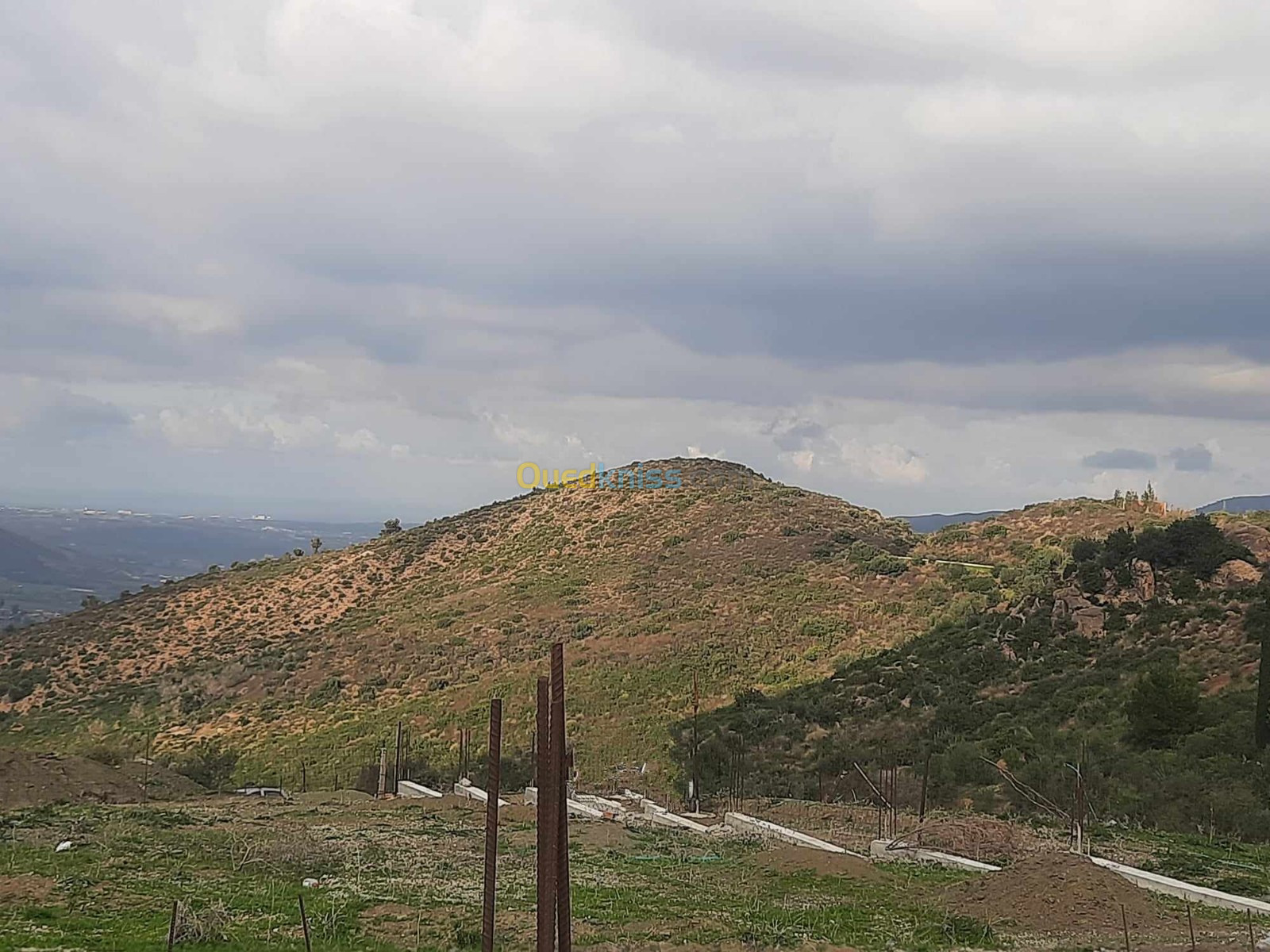 Vente Terrain Boumerdès El kharrouba