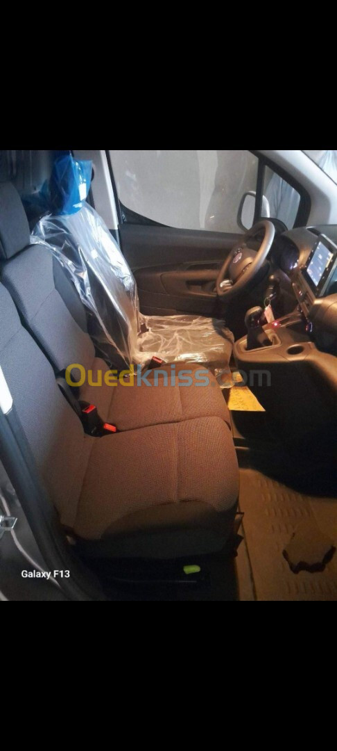 Fiat Doblo 2023 Professionnel