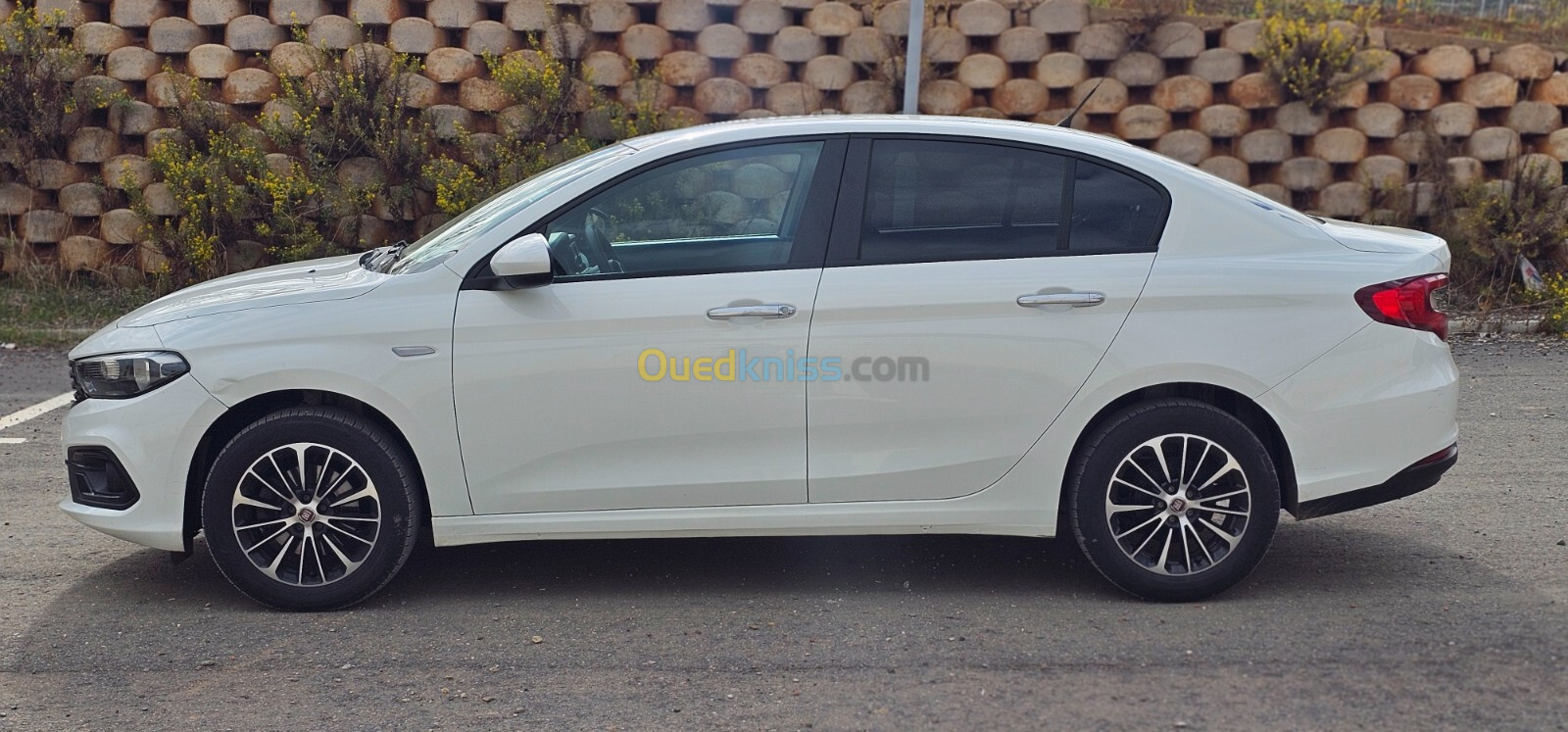 Fiat Tipo 2023 Ctiy+