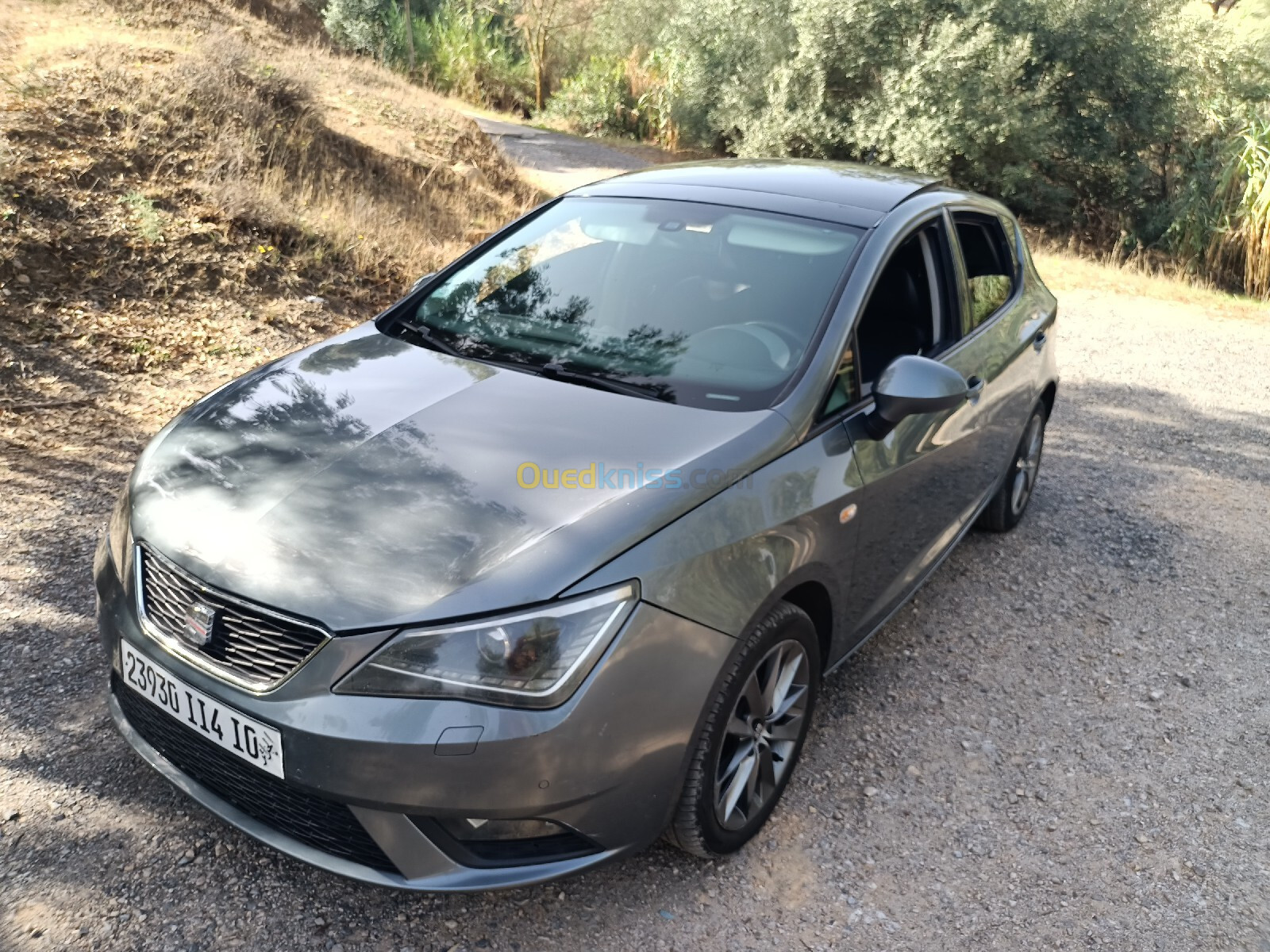 Seat Ibiza 2014 Itech