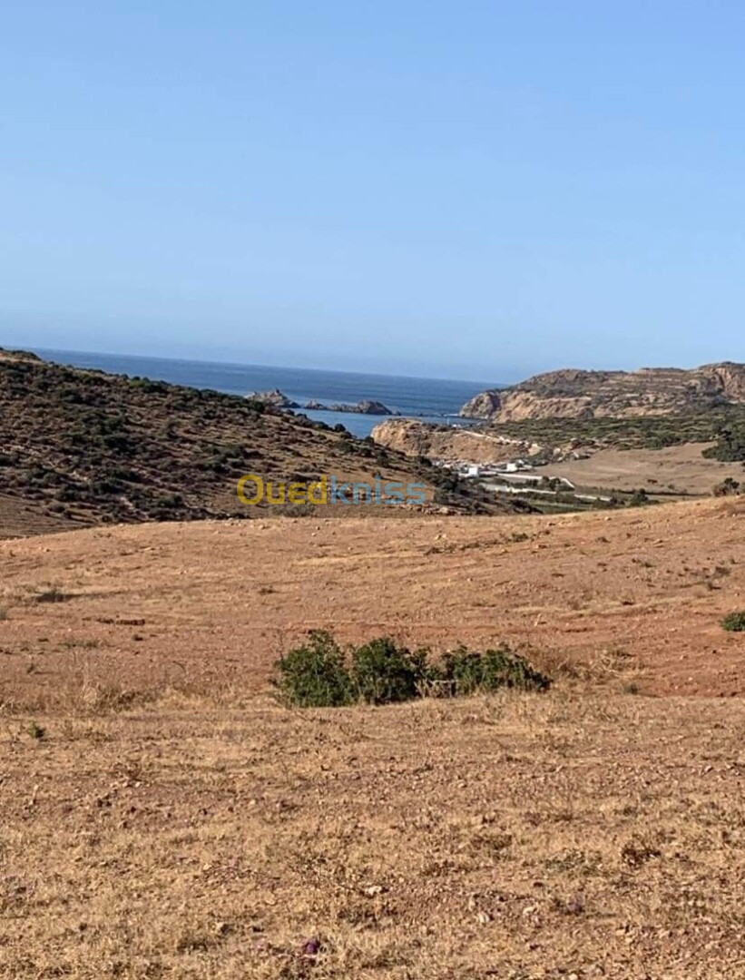 Vente Terrain Oran Ain el kerma