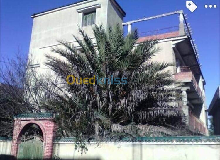 Vente Villa Alger Bouzareah