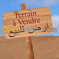 Vente Terrain Alger Birkhadem