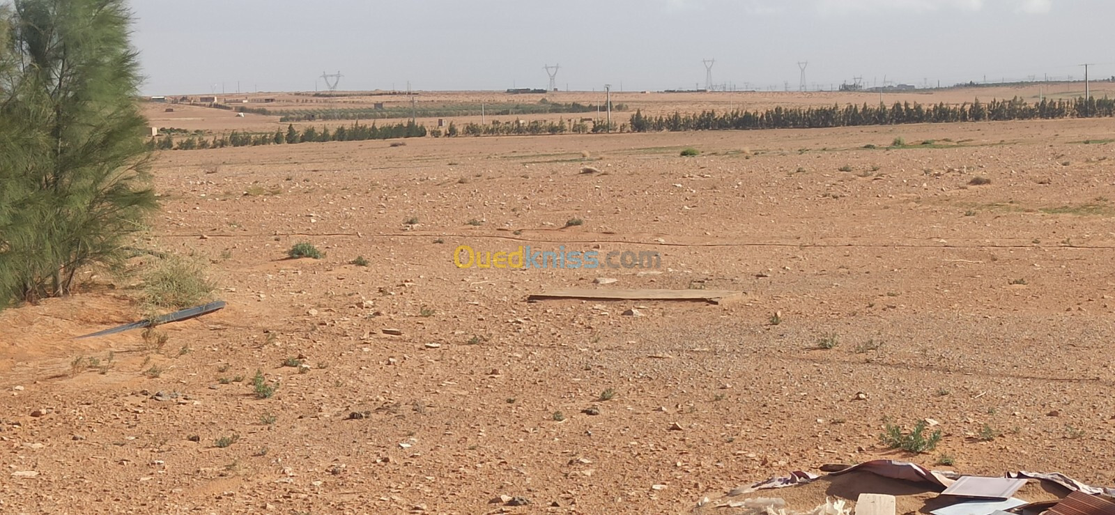 Vente Terrain Agricole Djelfa Ain oussara