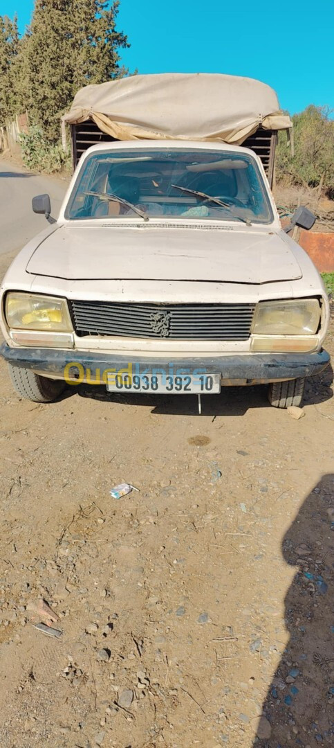 Peugeot 405 1992 504