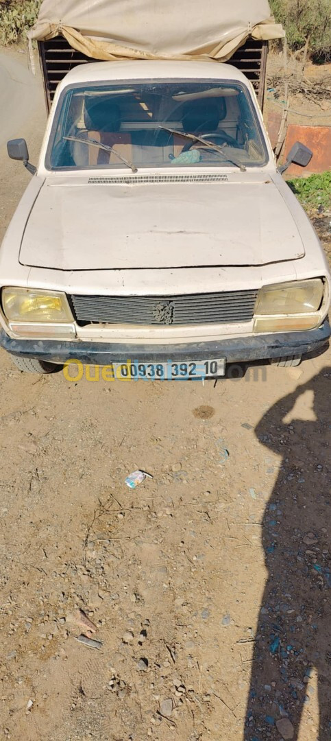 Peugeot 405 1992 504