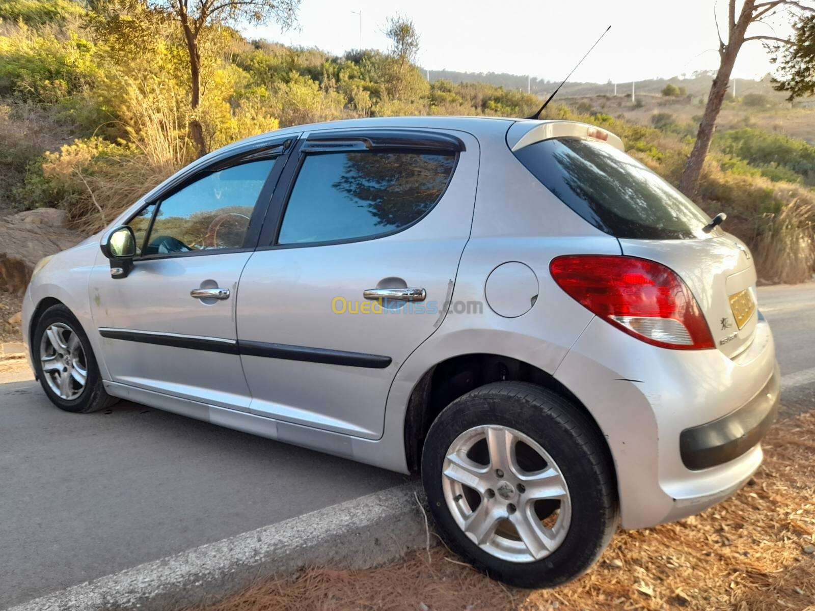 Peugeot 207 2009 Premium