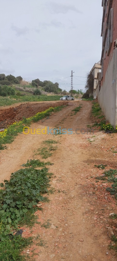 Vente Terrain Tipaza Cherchell