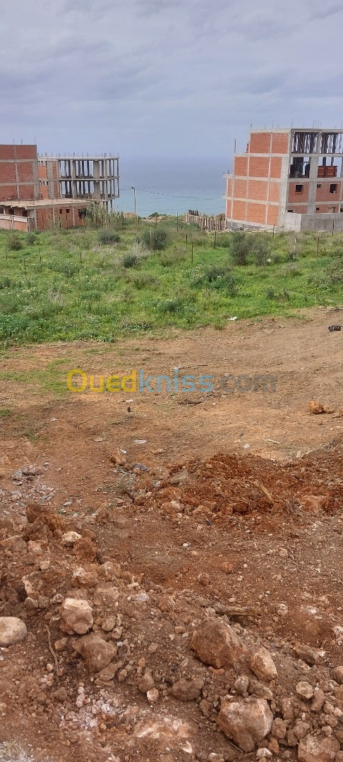 Vente Terrain Tipaza Cherchell