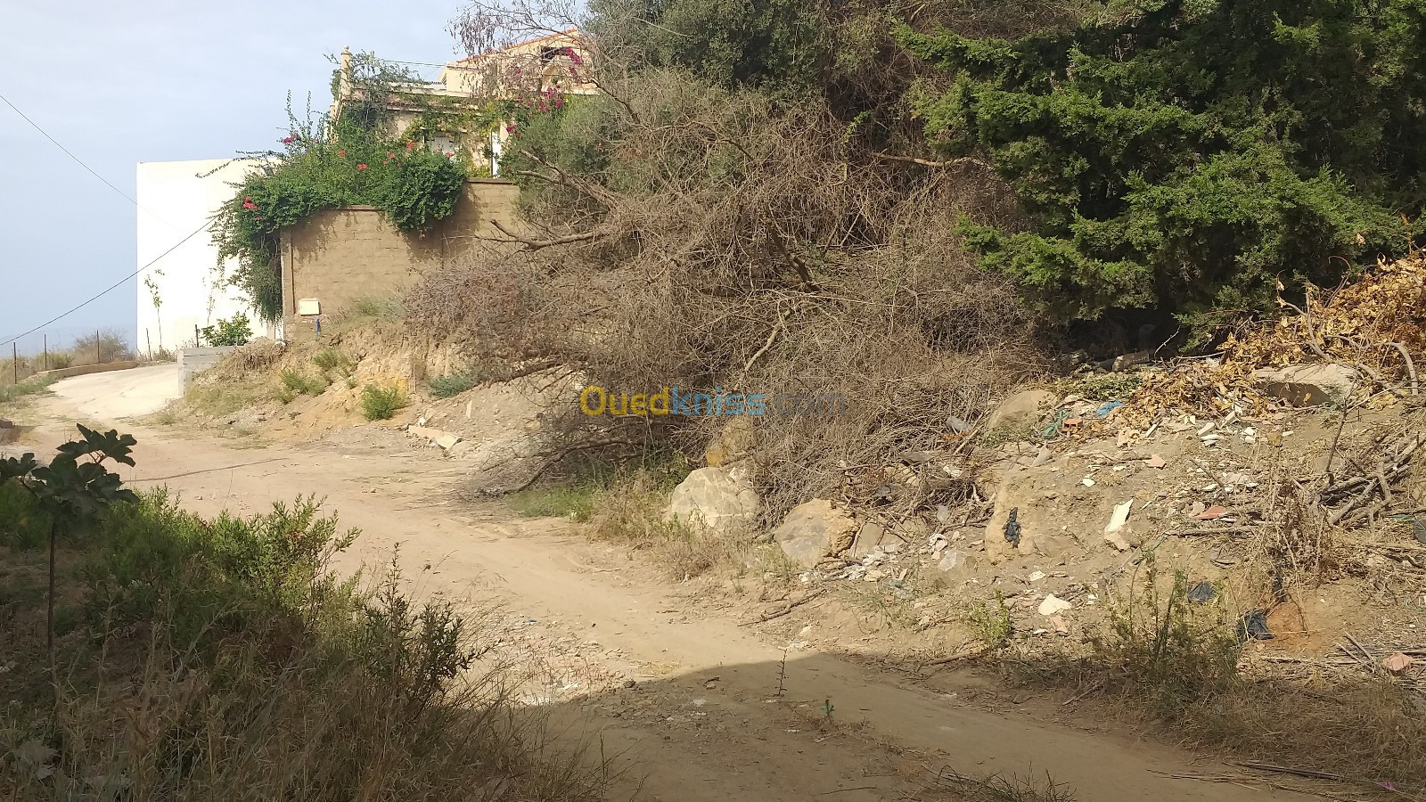 Vente Terrain Tipaza Cherchell