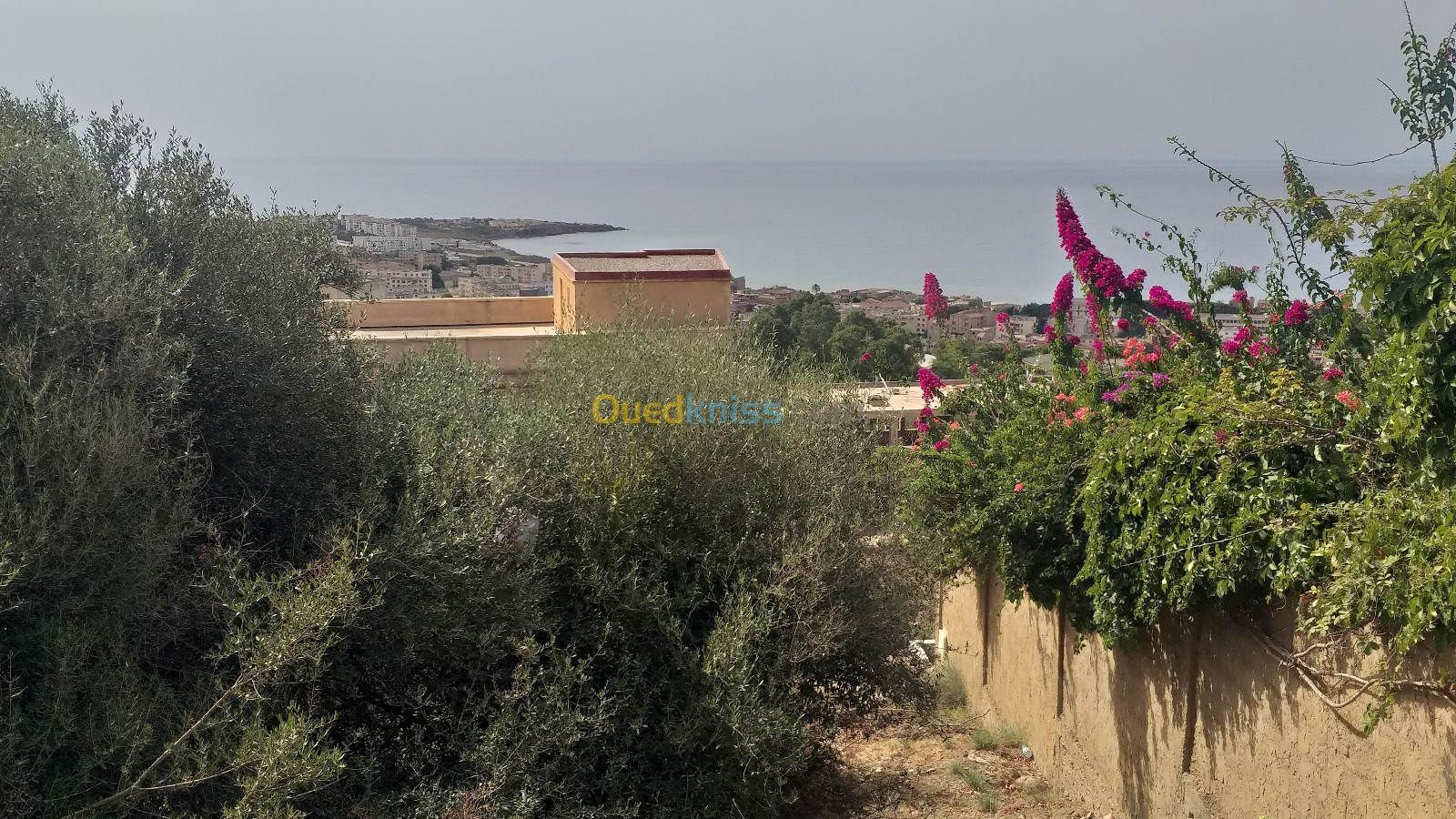 Vente Terrain Tipaza Cherchell