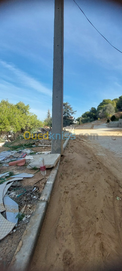 Vente Terrain Tipaza Cherchell