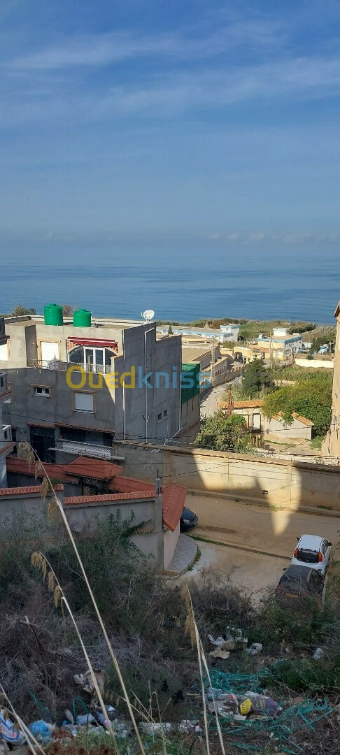 Vente Terrain Tipaza Cherchell