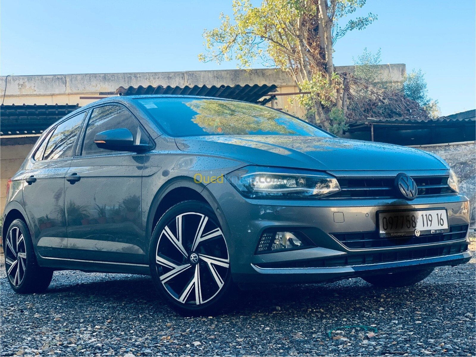 Volkswagen Polo 2019 Carat