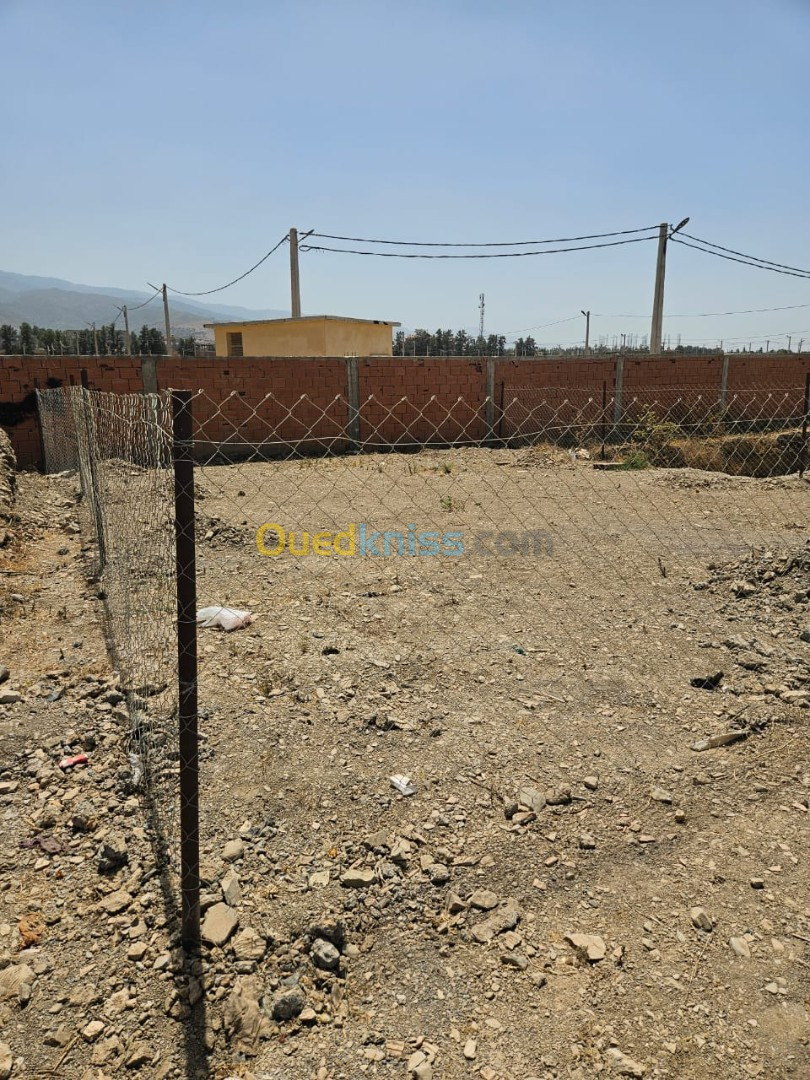 Vente Terrain Blida Boufarik