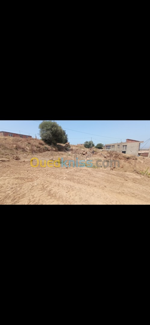 Vente Terrain Blida Ain romana