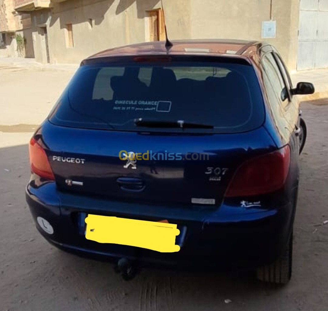 Peugeot 307 2005 307