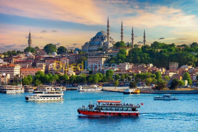 Promo Billet d'avion Istanbul Turkish 