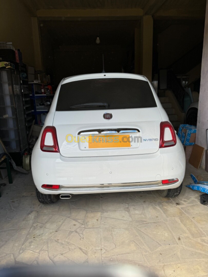 Fiat 500 2024 