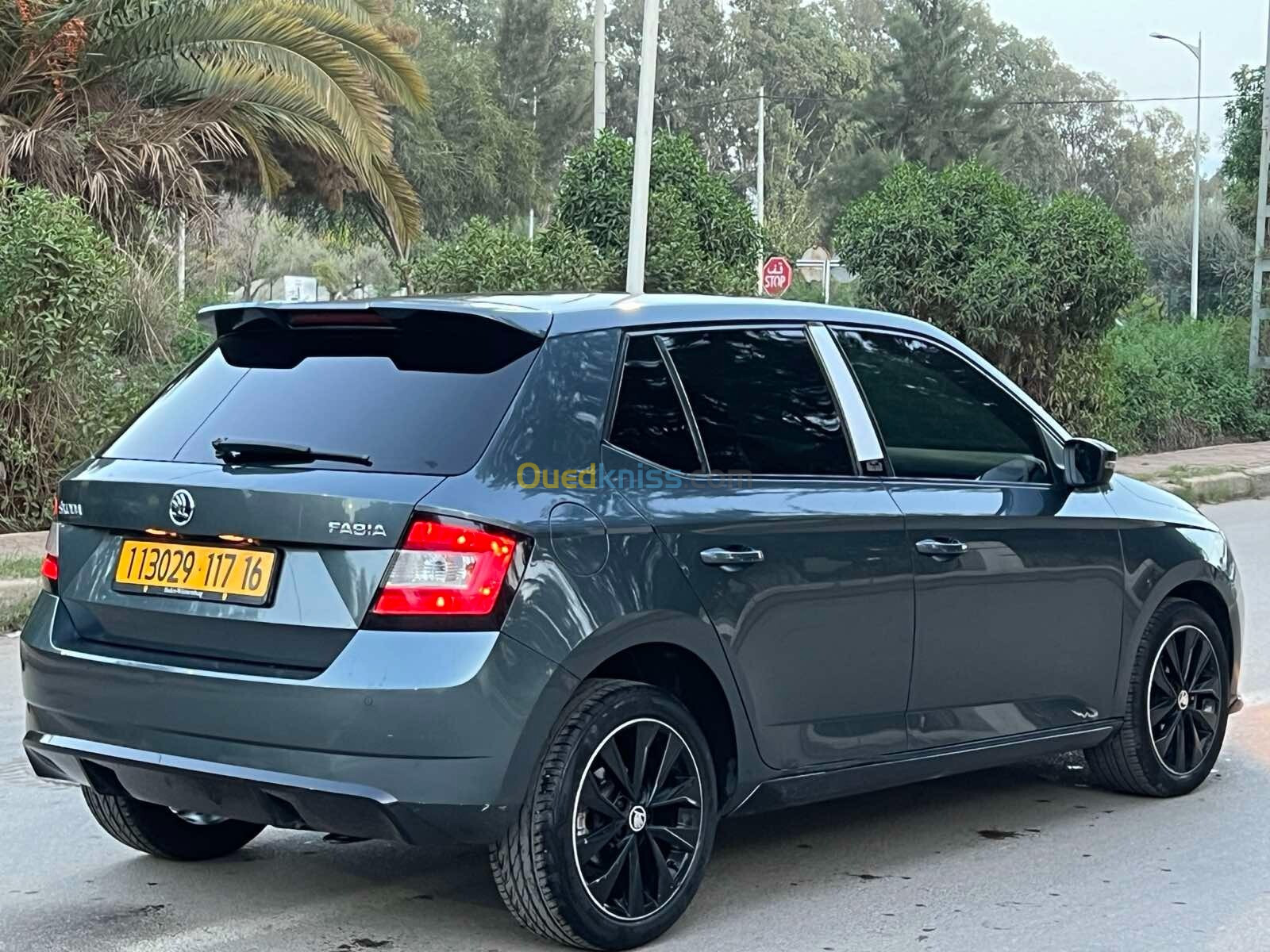 Skoda Fabia 2017 Monte Carlo