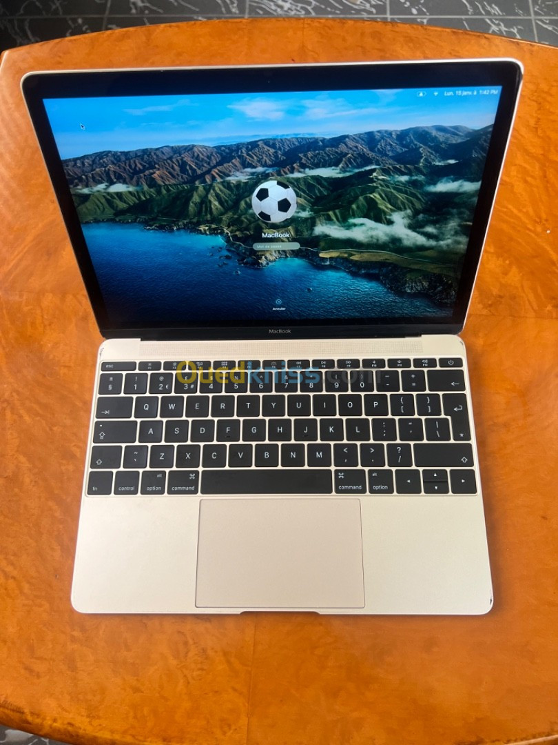 MacBook A1534 / 12 / 8G / 256gb 