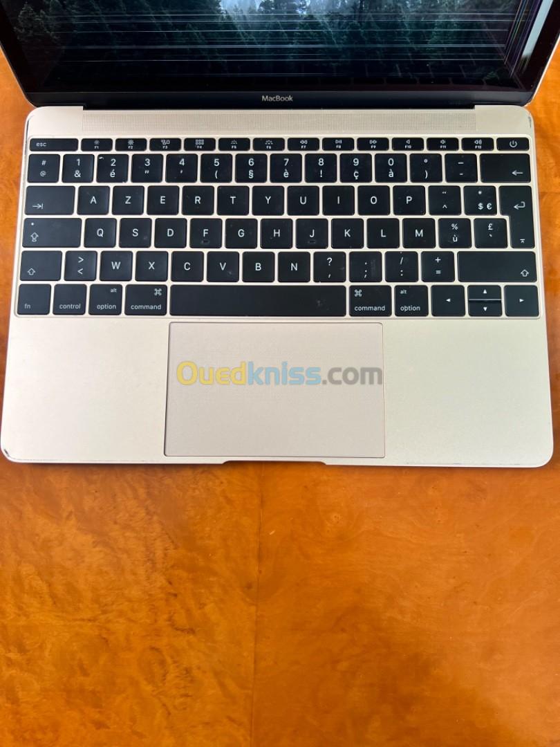 MacBook A1534 / 12 / 8G / 256gb 