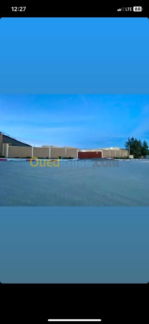 Vente Hangar Bouira Oued el berdi