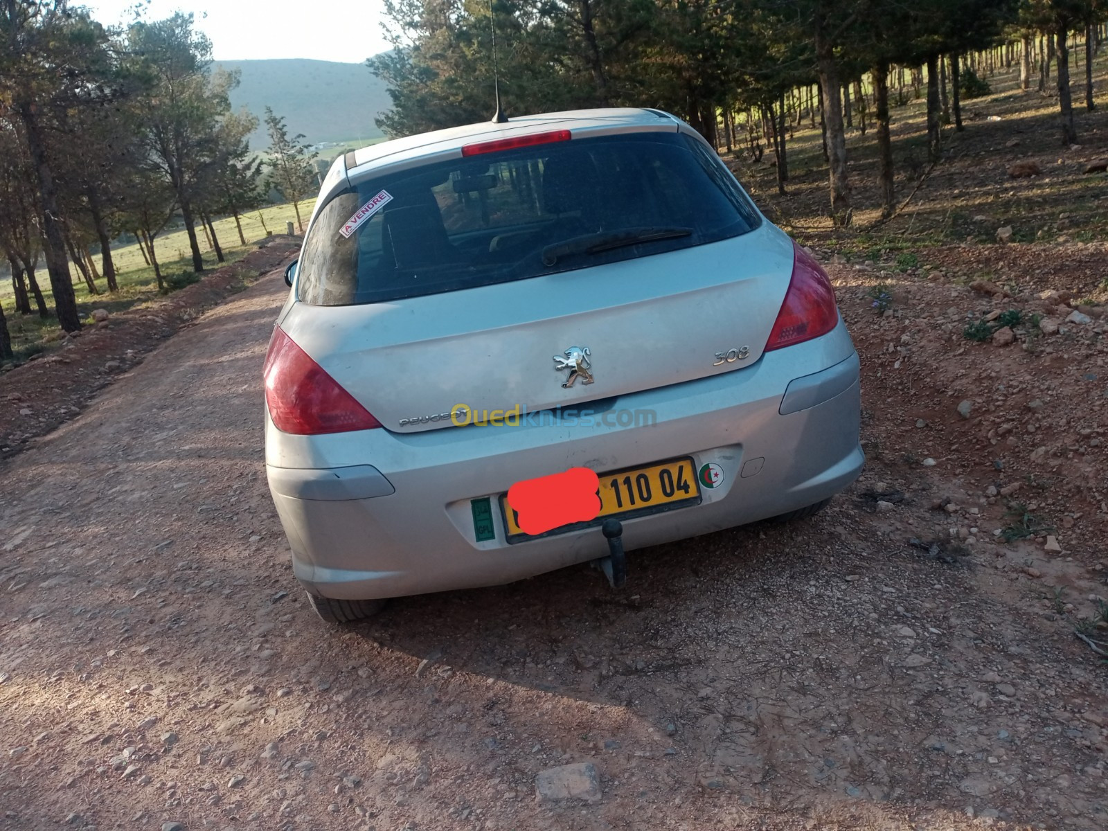 Peugeot 308 2010 