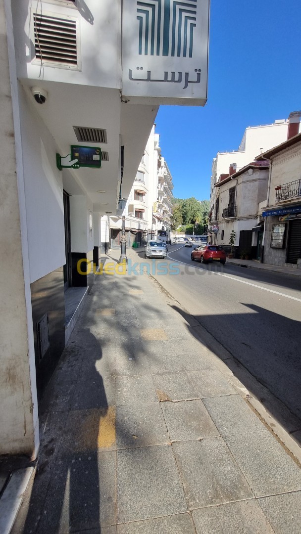 كيف أسجل الدخول إلى تويتر وماذا أفعل إذا نسيت كلمة المرور