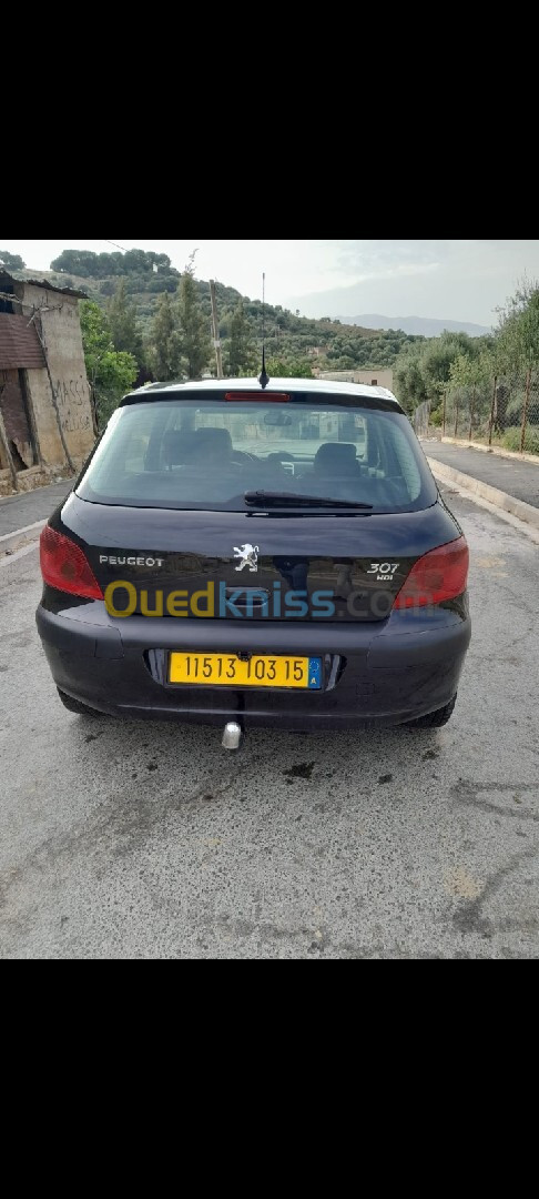 Peugeot 307 2003 307