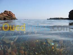 Location vacances Appartement F1 Tipaza Tipaza