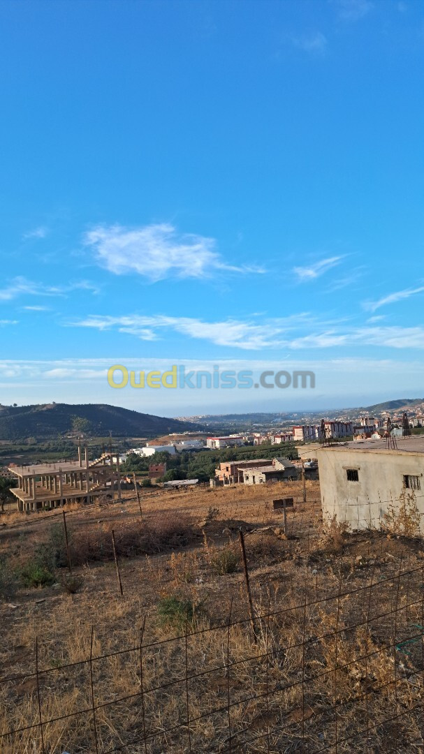 Vente Terrain Boumerdès Larbatache