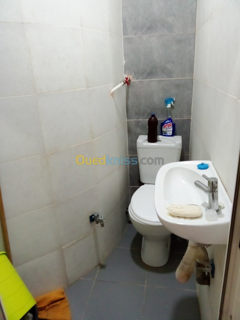 Location Appartement F3 Alger Alger centre