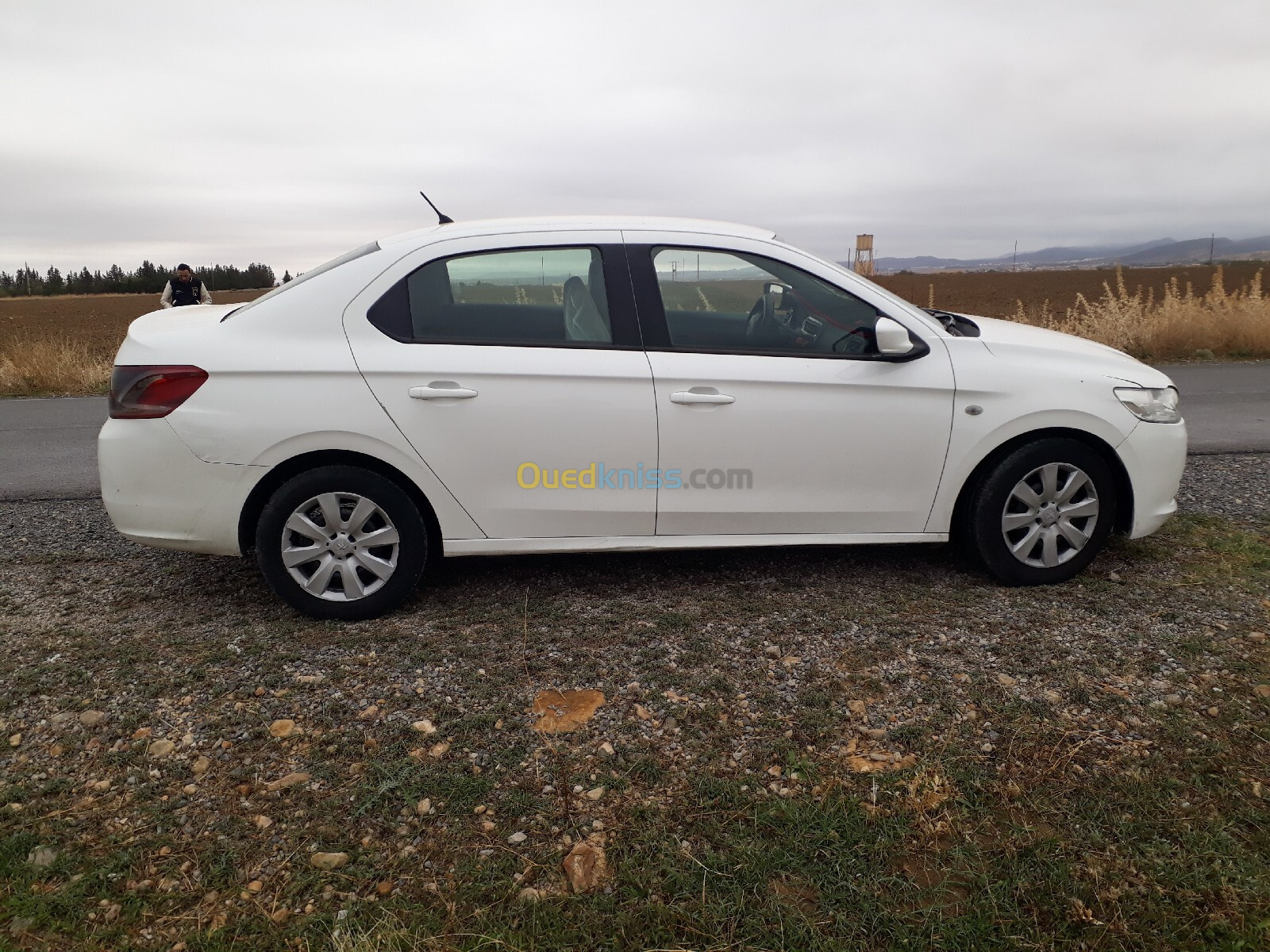 Peugeot 301 2013 Active