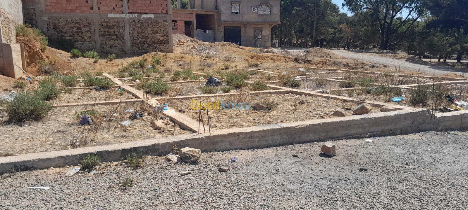 Vente Terrain Mostaganem Sidi ali