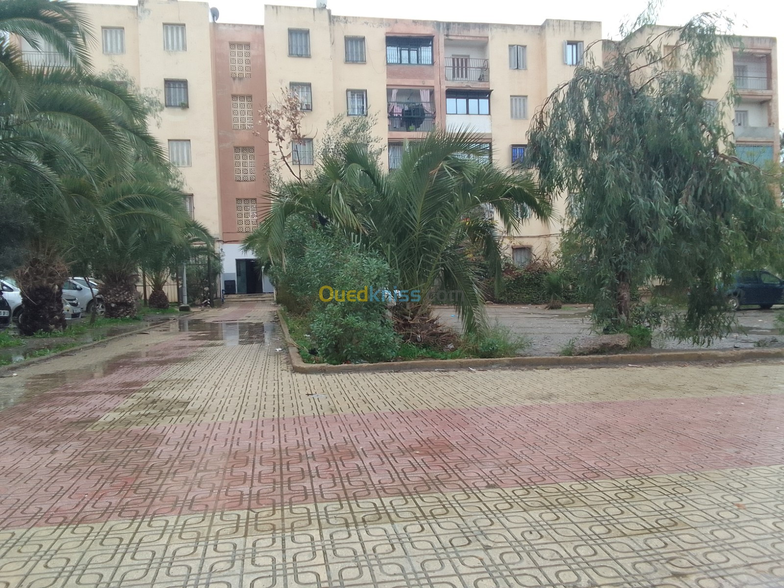 Vente Appartement F3 Blida Bougara