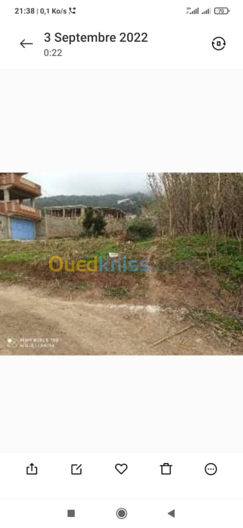 Vente Terrain Tipaza Larhat