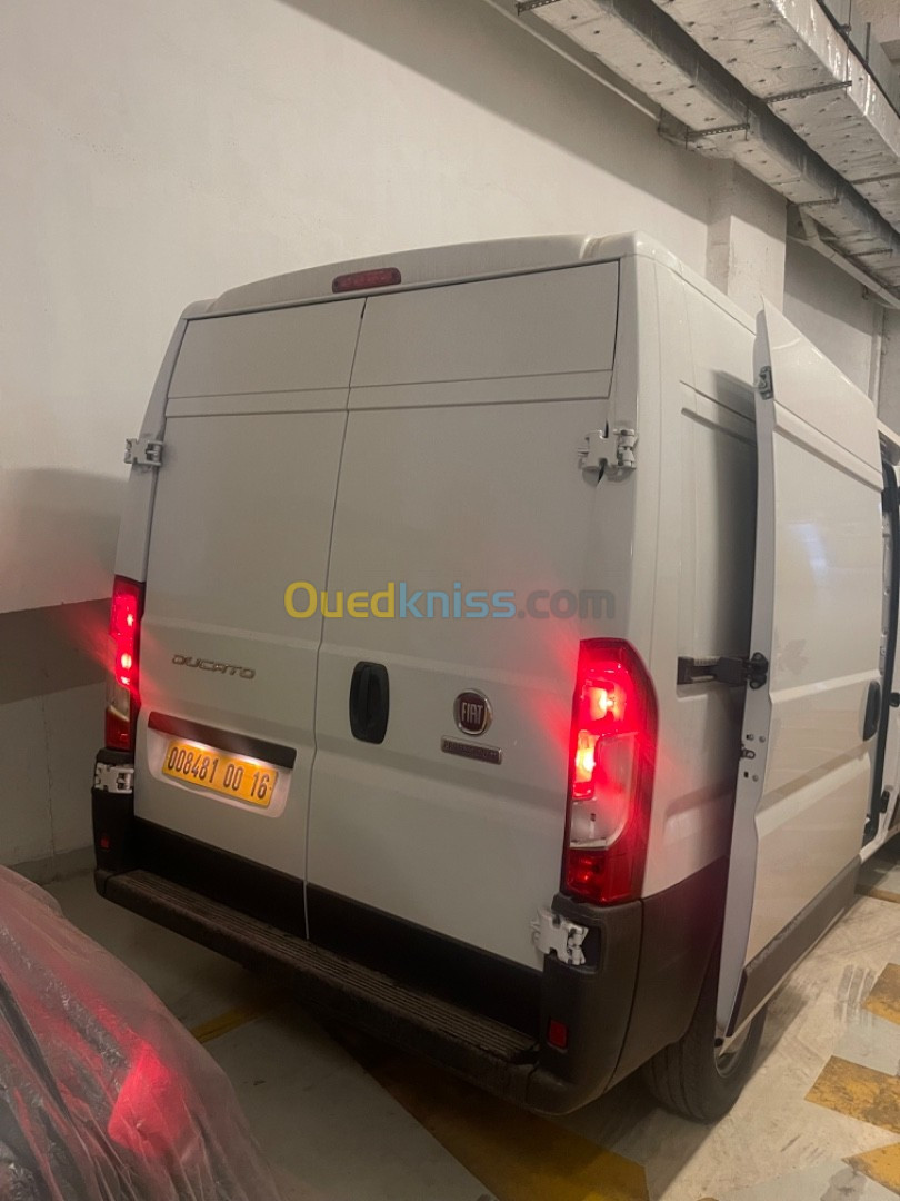 Fiat Ducato 2023 Professionnel