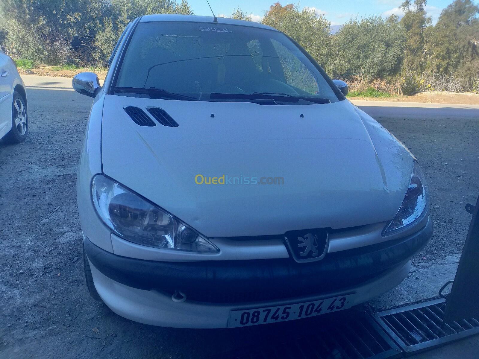 Peugeot 206 2004 206