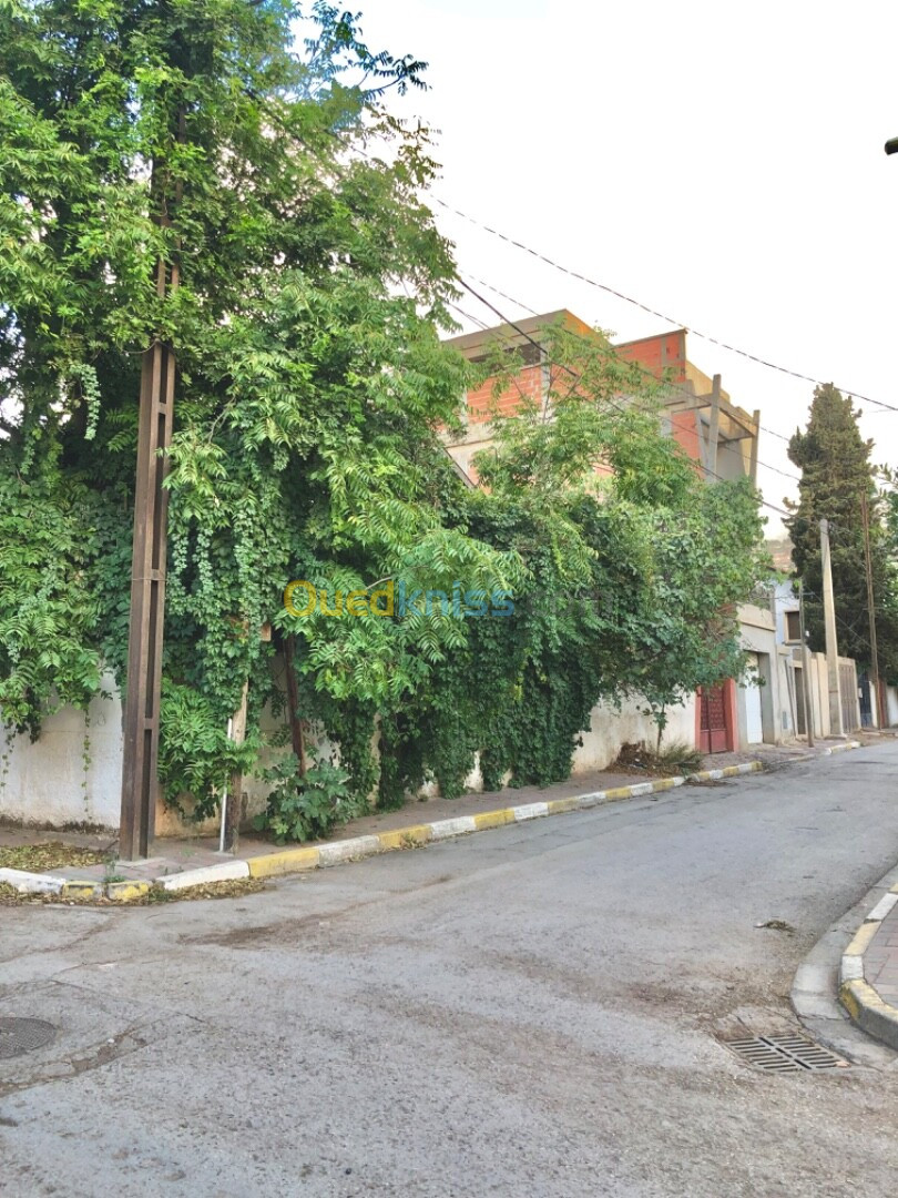 Vente Villa Blida Blida