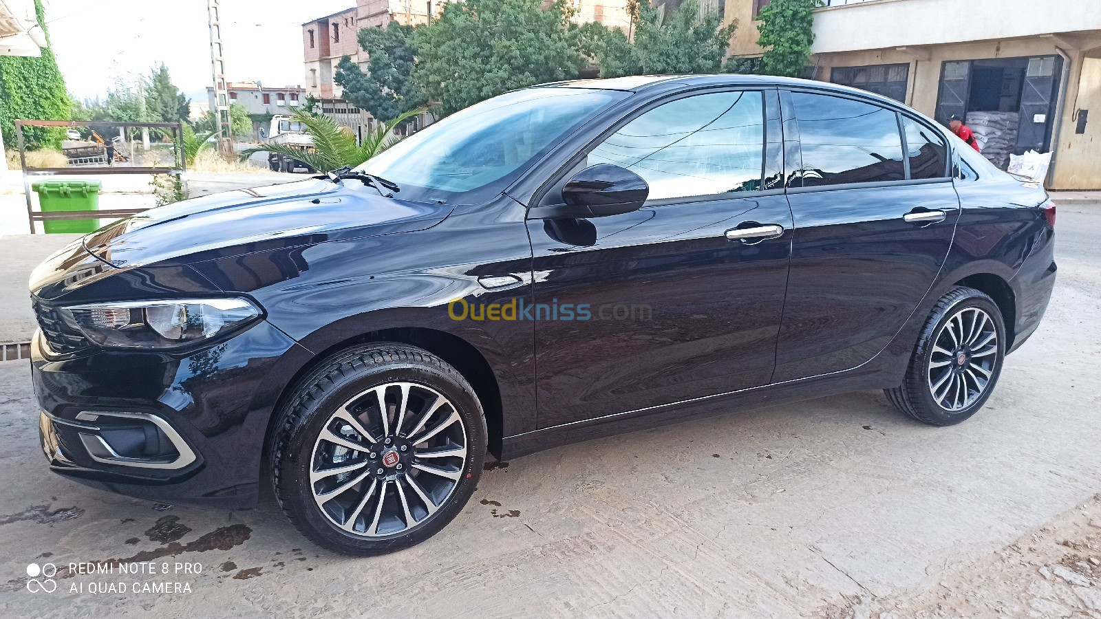 Fiat tipo live 2024 