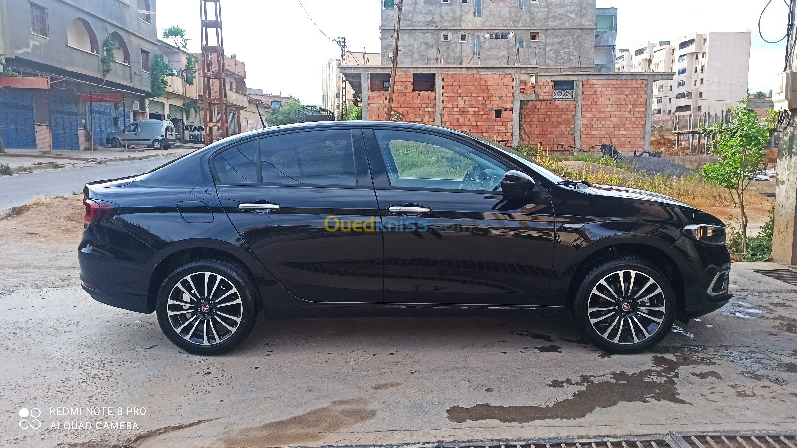 Fiat tipo live 2024 