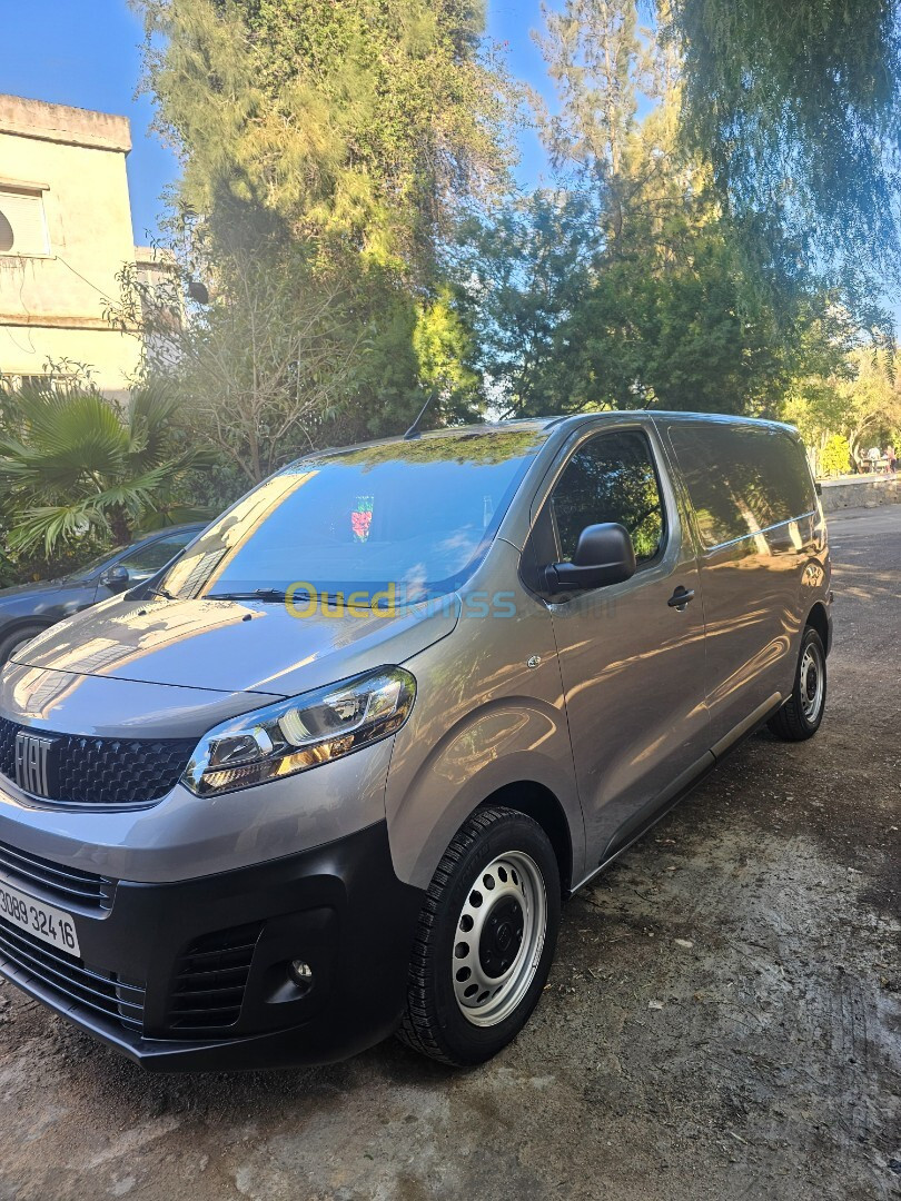 Fiat Professional scodo 2024 a17