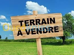 Vente Terrain Oran Oran