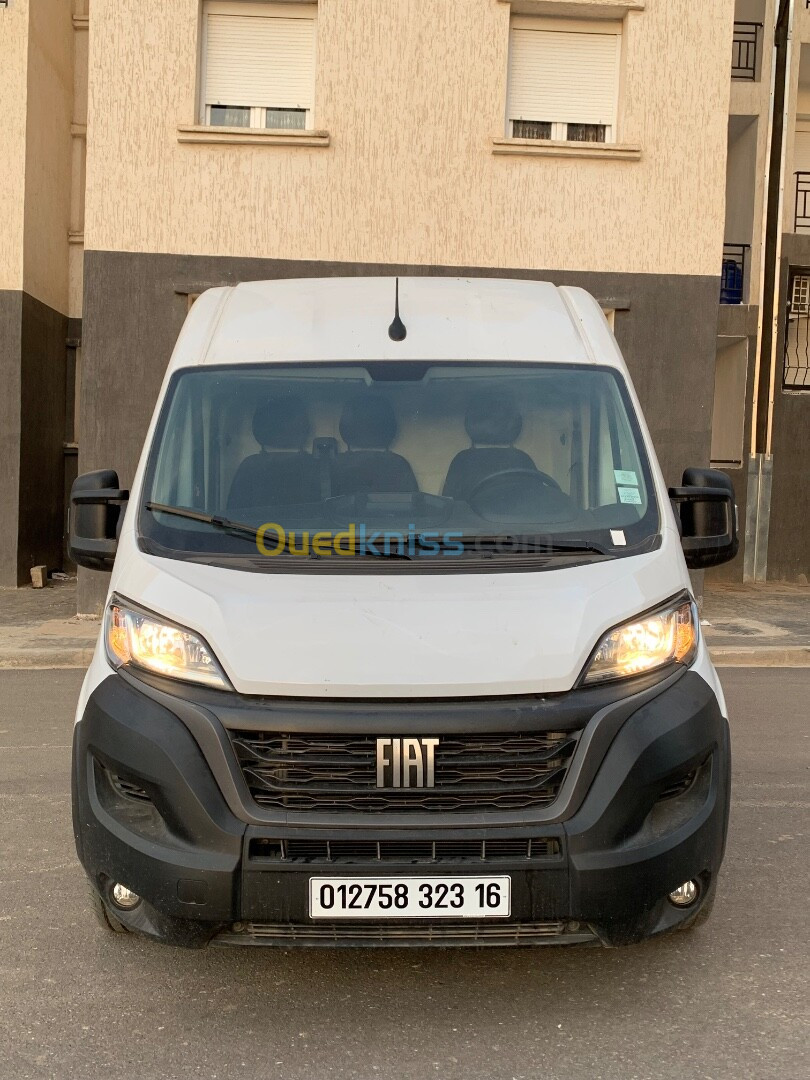 Fiat ducato 2023 