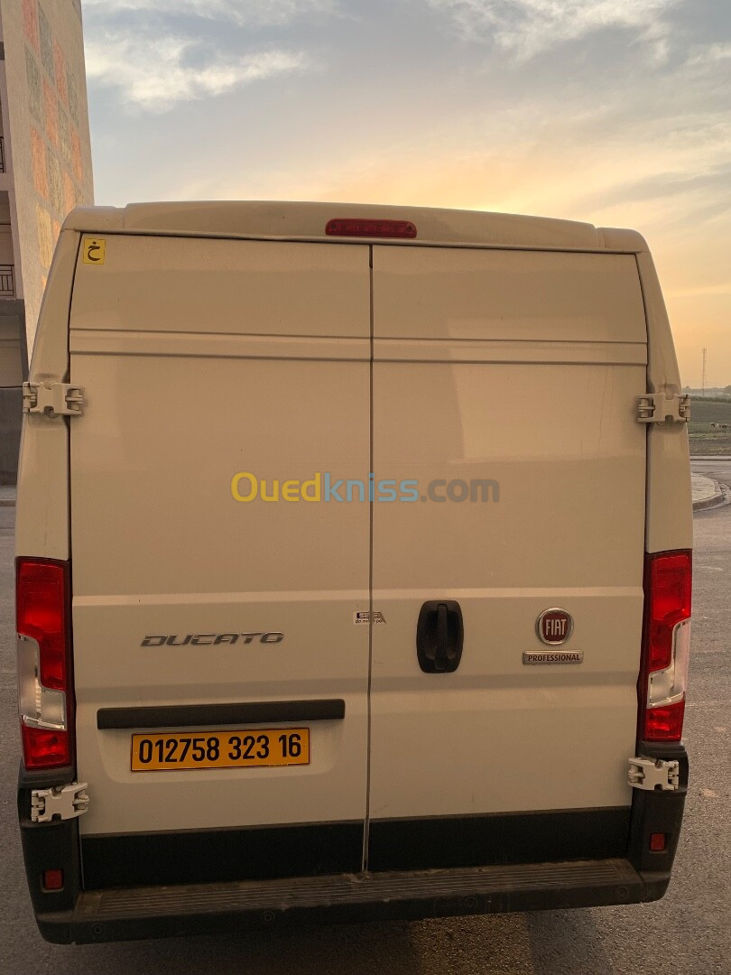 Fiat ducato 2023 