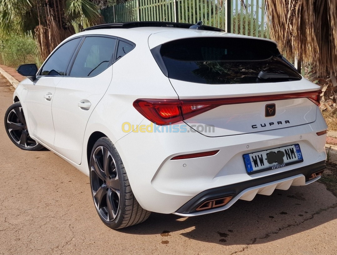 Seat Cupra 2022 Cupra