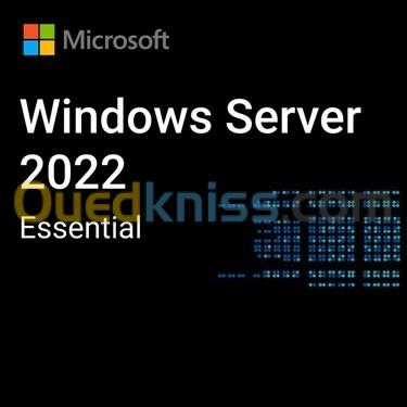 Windows Server 2022 Standard - 16 Core License